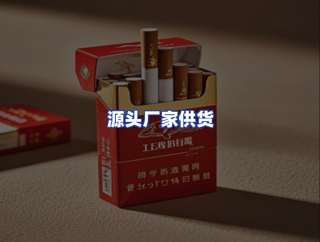 专业团队